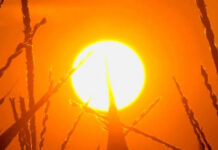 Caldo, a Modena prosegue l’allerta arancione per temperature estreme
