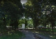 Polizia Locale, sequestrate dosi di marijuana nascosta nel Parco XXII Aprile