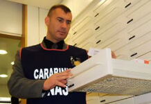 I NAS di Parma controllano alcuni locali di Modena