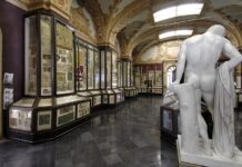 Dall’Amazzonia a Modena: un visita guidata ai Civici Musei
