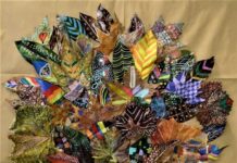 Modena celebra la Giornata Mondiale dell’Albero