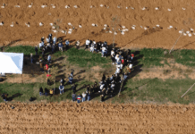 Progetto Bosco Ferrari. Il 17 marzo un incontro a Spilamberto