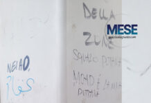 Editoria: è online il numero 5 di MESE, la rivista accende i riflettori su “Questa TV!”