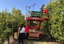 Le Brigate del Lavoro Flai Cgil nelle campagne dell’Area Nord Modenese